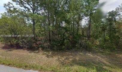 6182 N Buckland Dr, Citrus Springs FL, 34434 land for sale