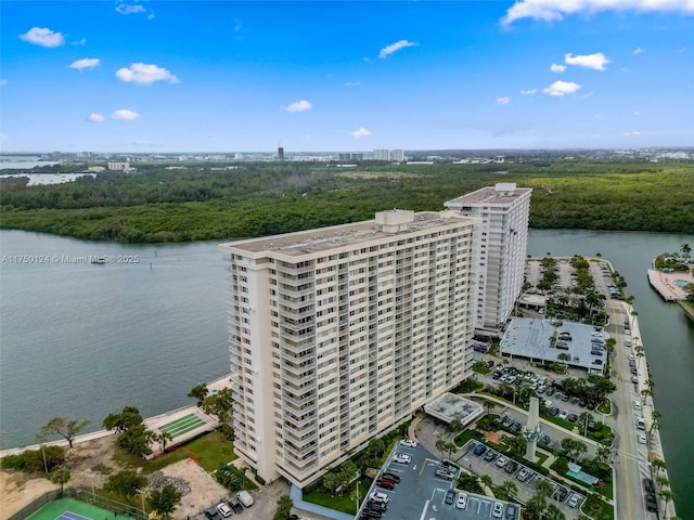 bird's eye view with a city view and a water view