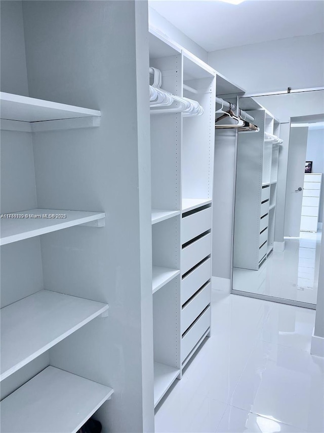 view of walk in closet