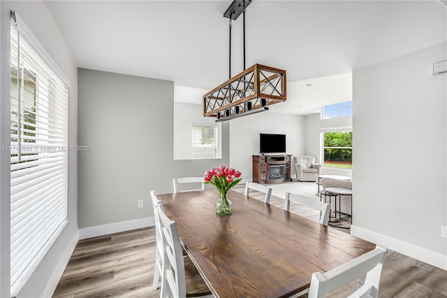 dining room featuring plenty of natural light, wood finished floors, and baseboards