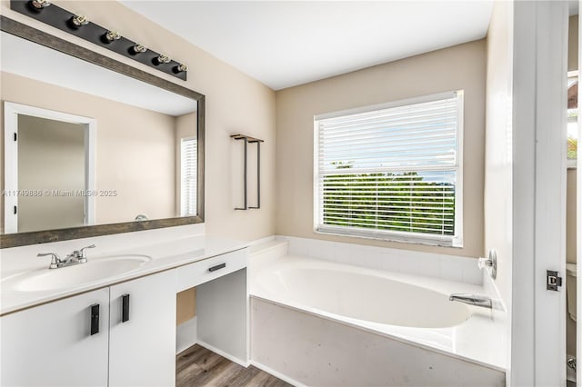 bathroom featuring wood finished floors, vanity, and a bath