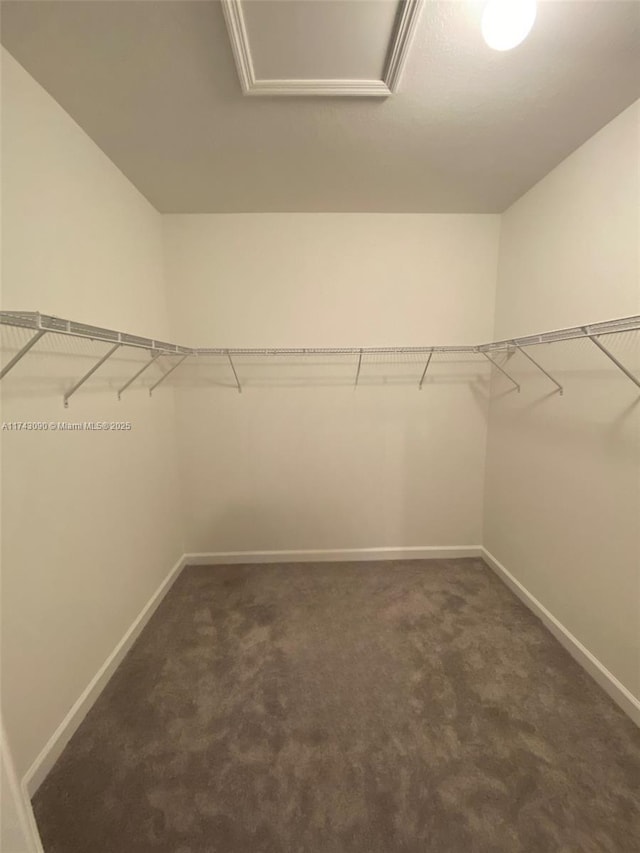 walk in closet featuring dark carpet