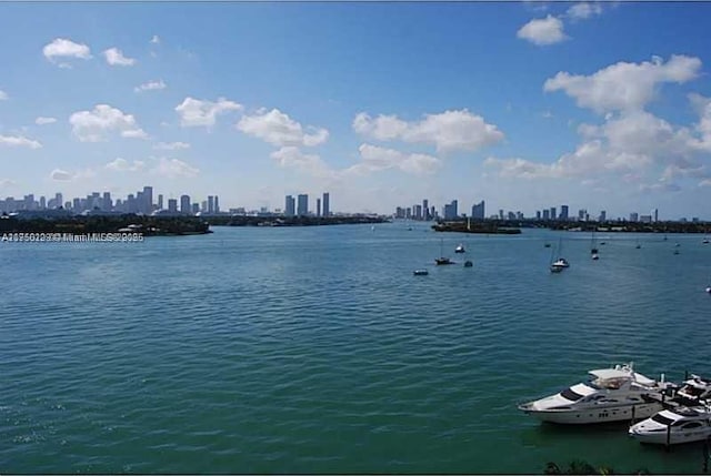 property view of water featuring a view of city