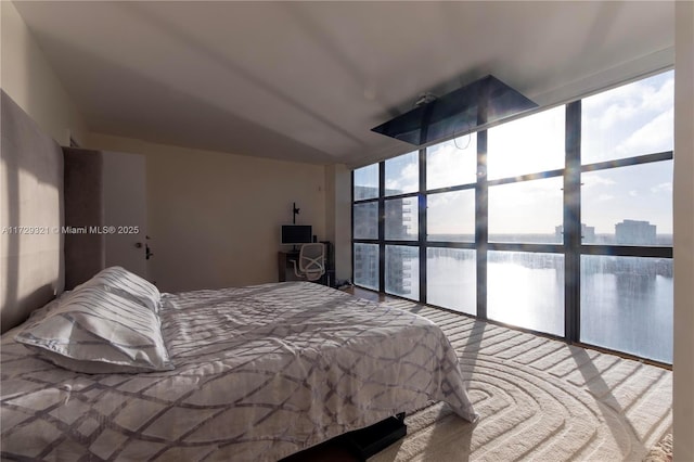 bedroom featuring carpet and floor to ceiling windows