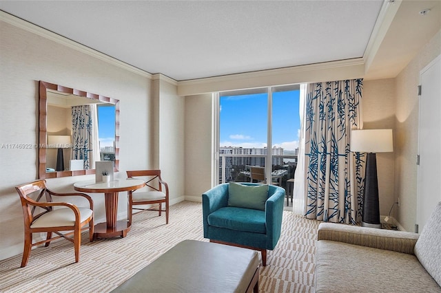 living area with a view of city, crown molding, and baseboards