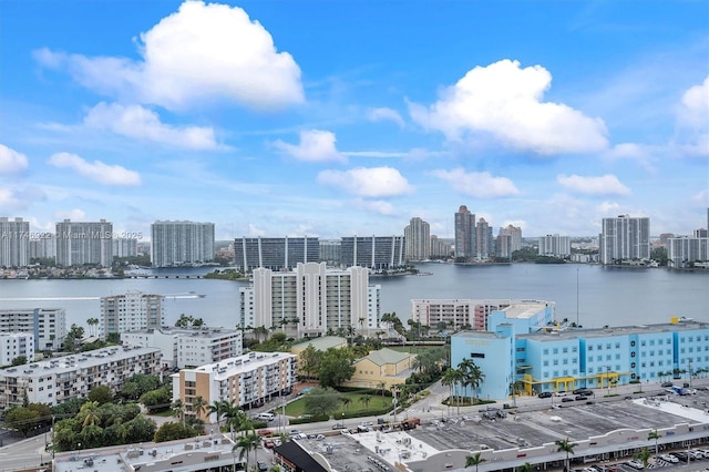 bird's eye view featuring a water view and a city view