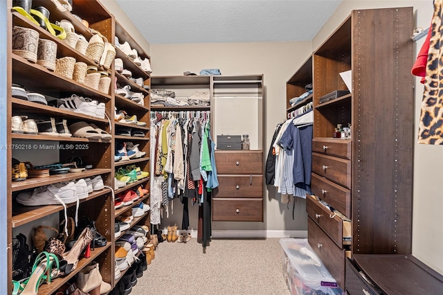 2609 NE 42nd Ave, Homestead, FL 33033 - spacious closet with light colored carpet