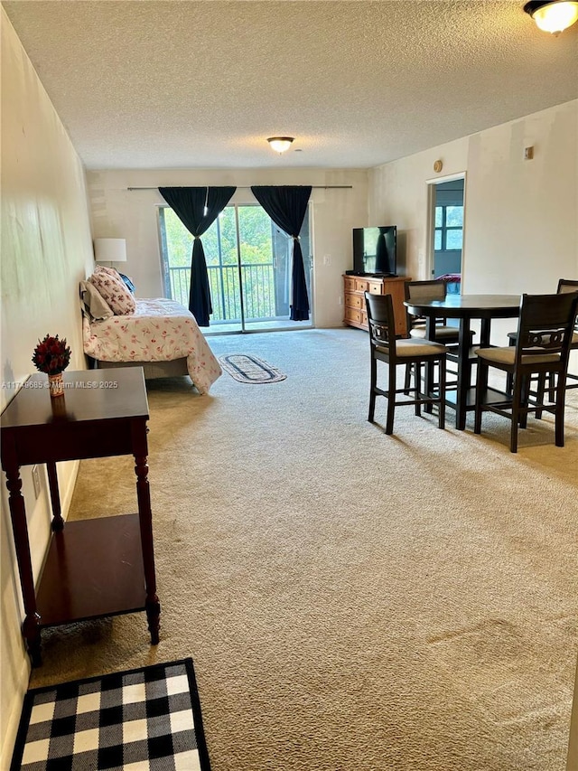 carpeted bedroom with access to outside, multiple windows, and a textured ceiling