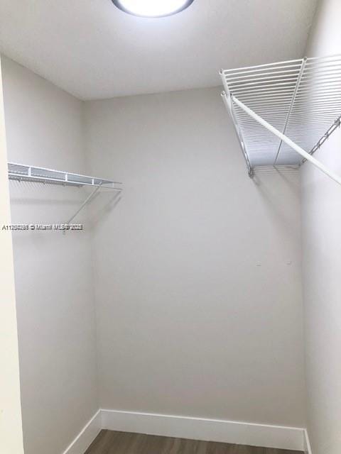 walk in closet featuring wood finished floors