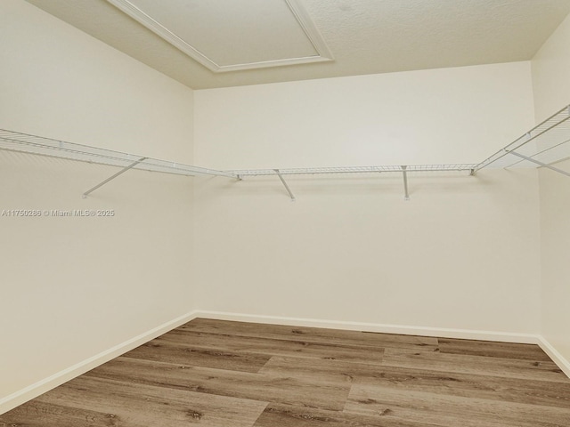 spacious closet with light wood-style flooring