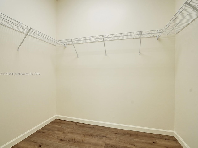 spacious closet featuring wood finished floors