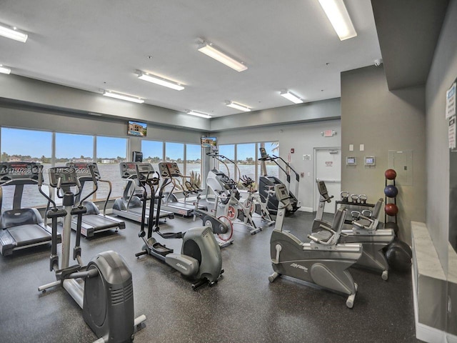 gym featuring a wealth of natural light and baseboards