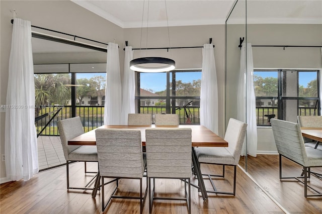 dining room with ornamental molding, a healthy amount of sunlight, and light wood finished floors