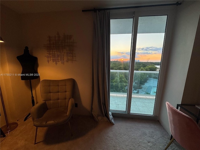 sitting room featuring carpet floors