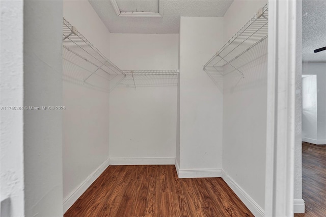 spacious closet with wood finished floors