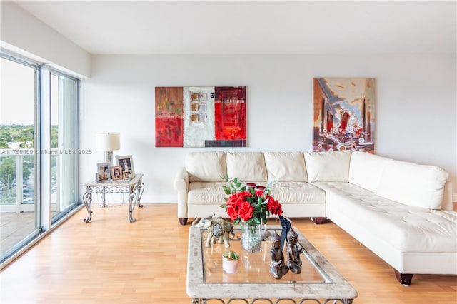 living room featuring wood finished floors