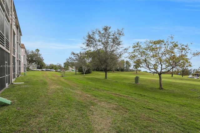 view of yard