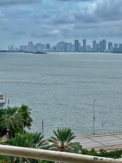 property view of water featuring a city view