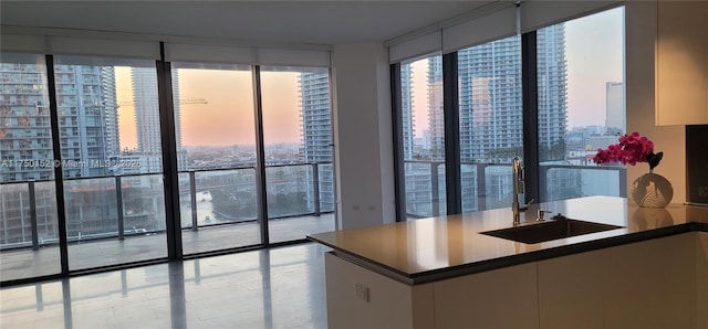 kitchen featuring a sink, a view of city, a healthy amount of sunlight, and a wall of windows