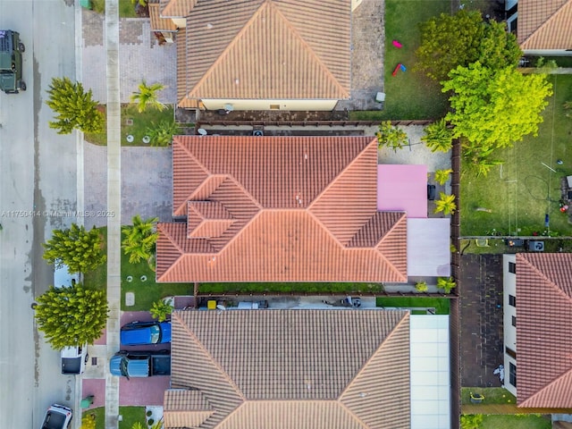 bird's eye view