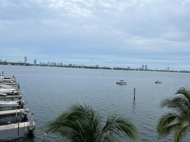 view of water feature with a view of city