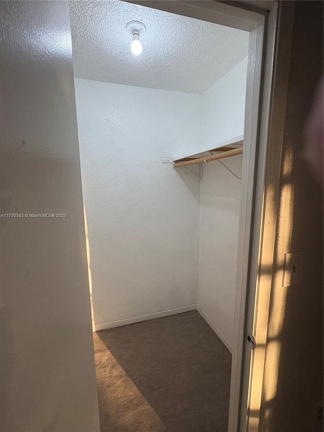 spacious closet with carpet floors