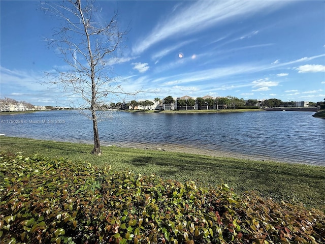 10706 W Clairmont Cir Unit 110, Tamarac, FL 33321 - photo 27