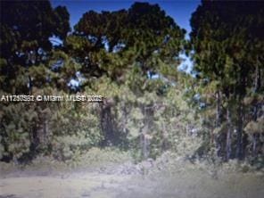 628 Eisenhower Blvd, Lehigh Acres, FL 33974