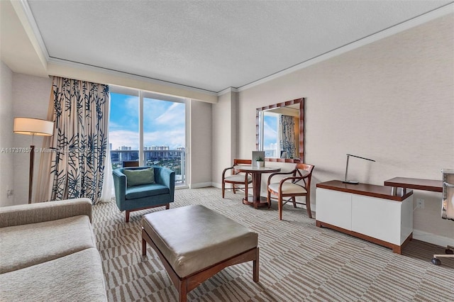 living area featuring a textured ceiling, a city view, carpet floors, baseboards, and crown molding