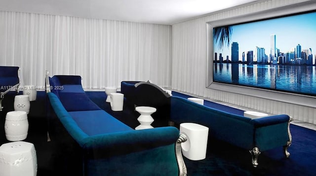 view of home theater room