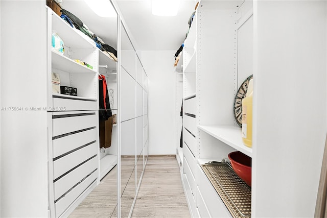 walk in closet featuring light wood finished floors