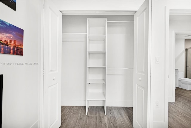 view of closet