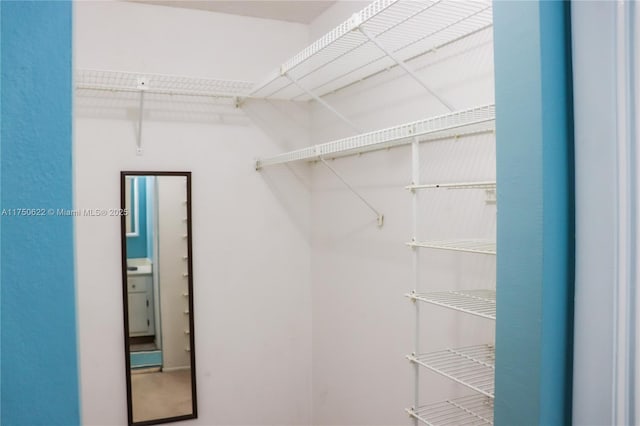 view of walk in closet