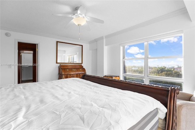 bedroom featuring ceiling fan and ornamental molding