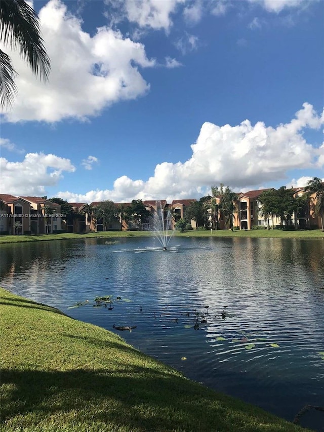 water view with a residential view