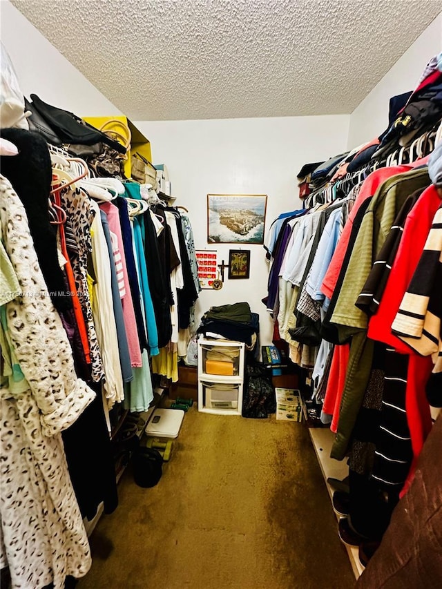 view of walk in closet