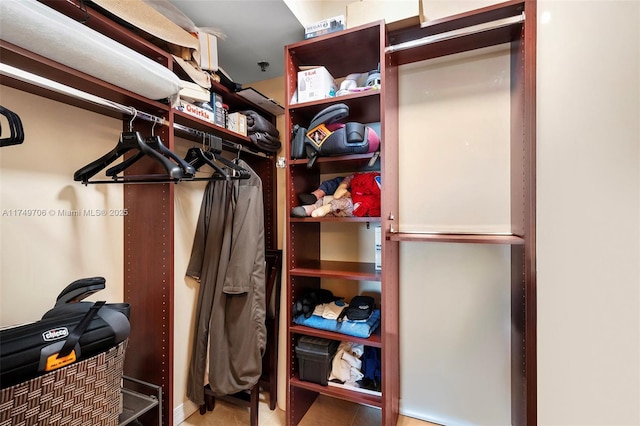 view of spacious closet