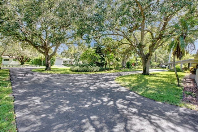 view of street with driveway