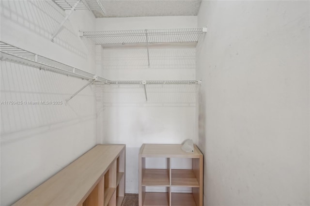 view of walk in closet