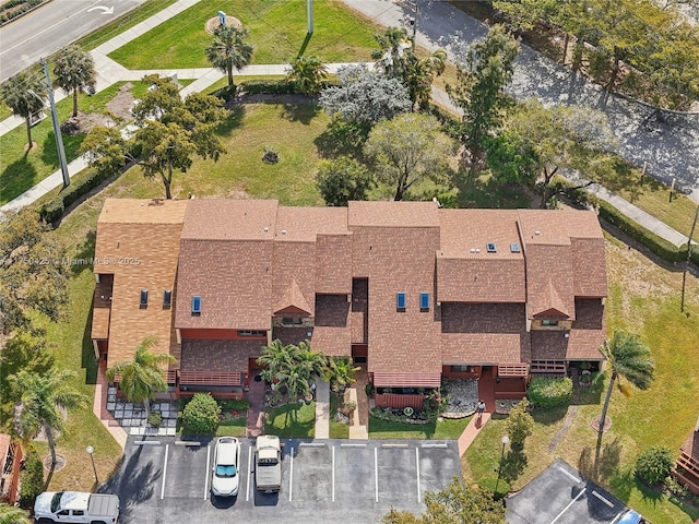 bird's eye view