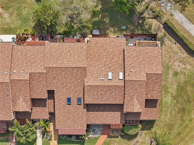bird's eye view