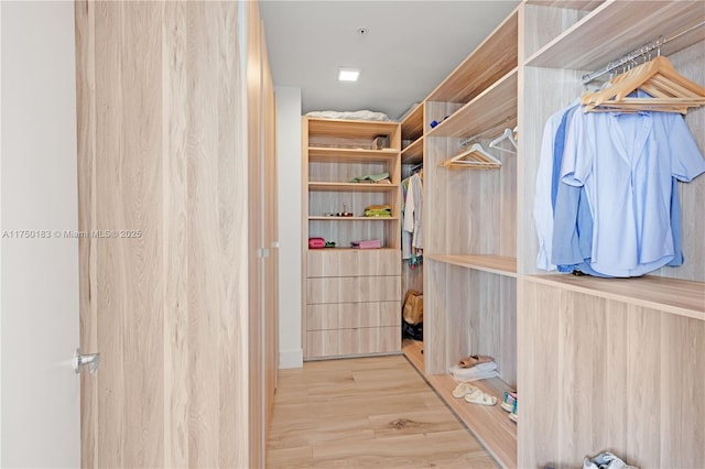 walk in closet featuring light wood finished floors