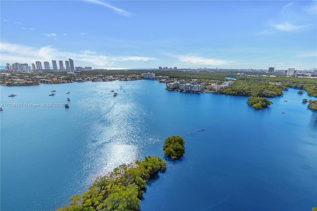 property view of water with a view of city