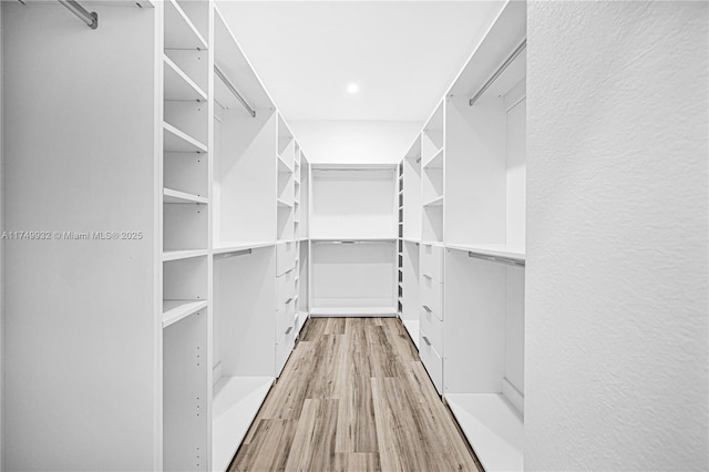 walk in closet with light wood finished floors