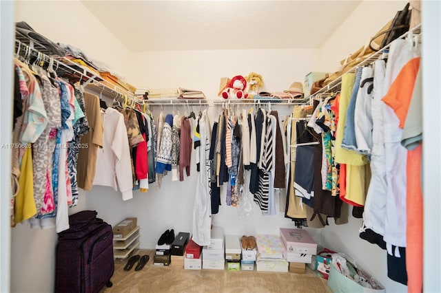 spacious closet with carpet flooring