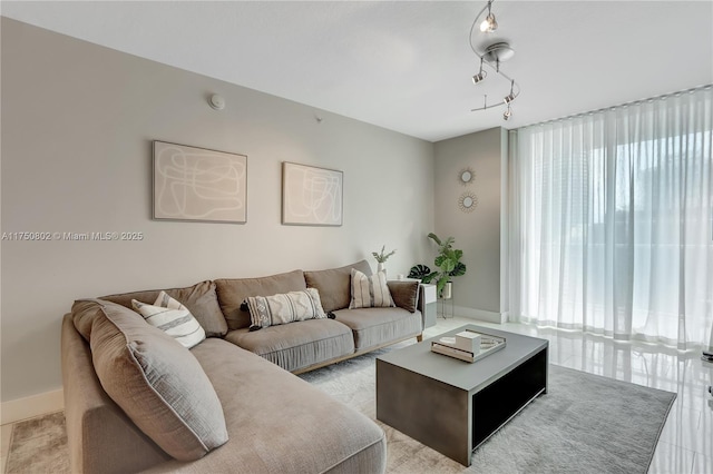 living area with track lighting, a wealth of natural light, and baseboards