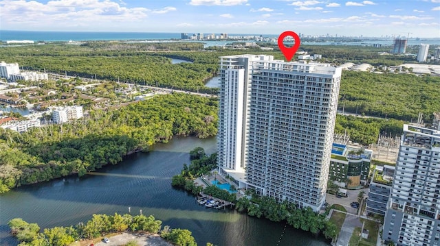 aerial view with a water view and a view of city