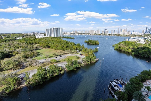 aerial view with a city view and a water view