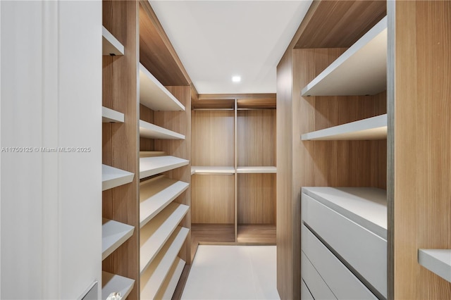 5500 Collins Ave Unit 802, Miami Beach, FL 33140 - view of walk in closet
