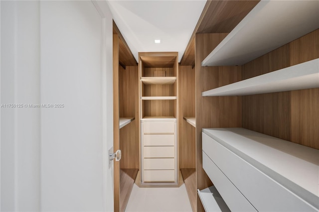 5500 Collins Ave Unit 802, Miami Beach, FL 33140 - view of walk in closet